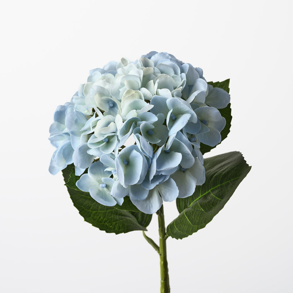 Bleu Mineral Hydrangea