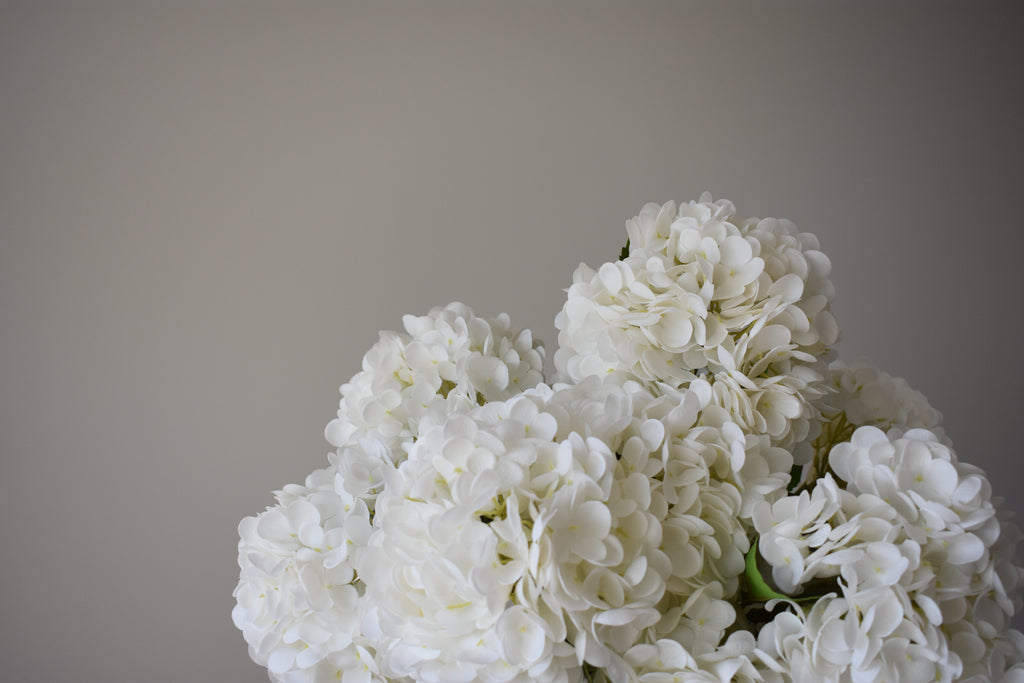 Signature of the Haus