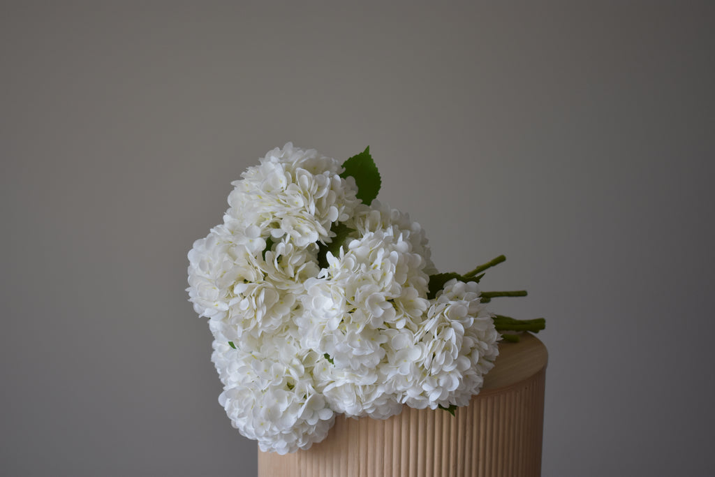 Signature of the Haus