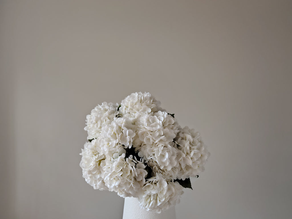 Signature of the Haus