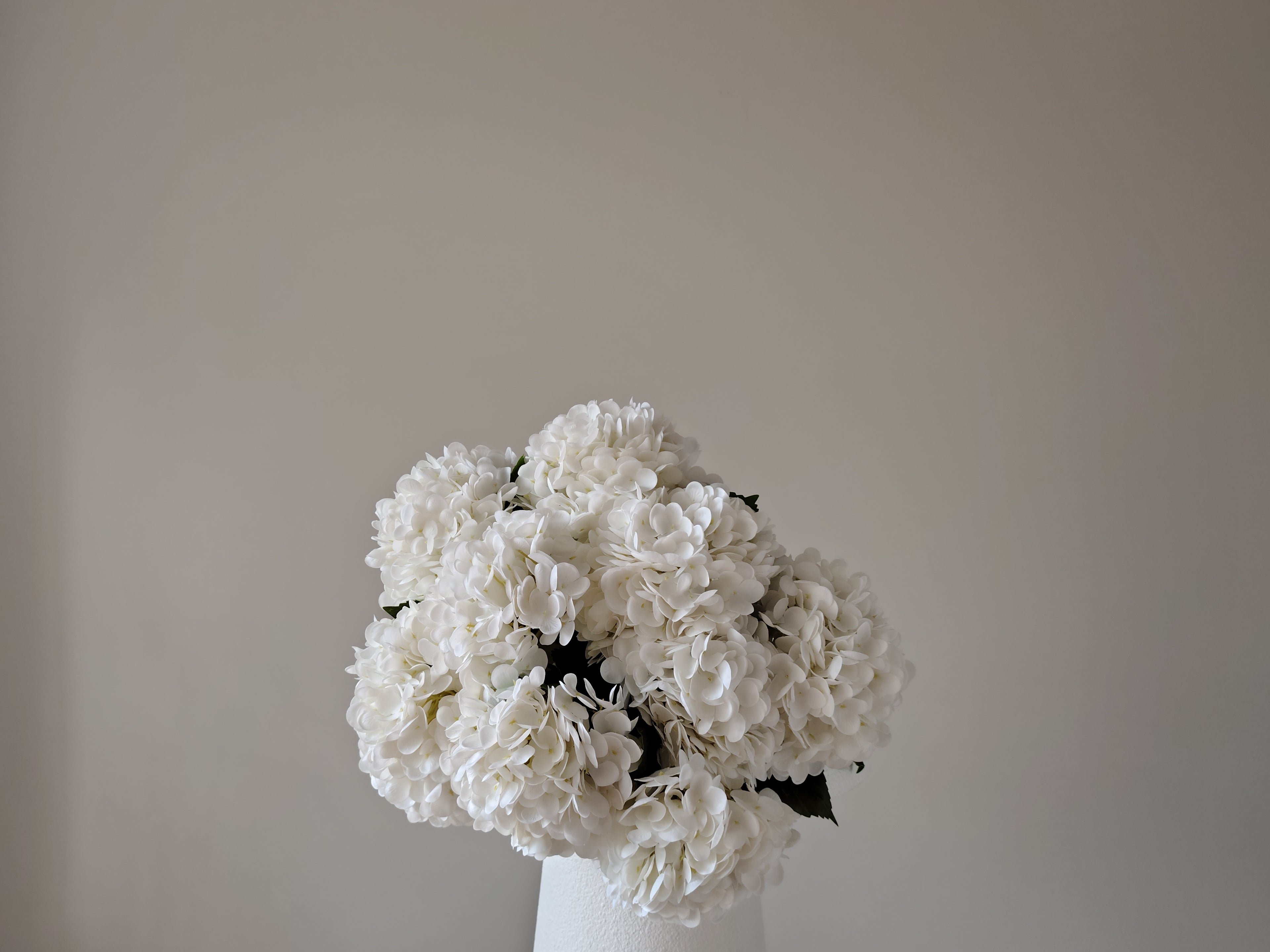 Signature of the Haus