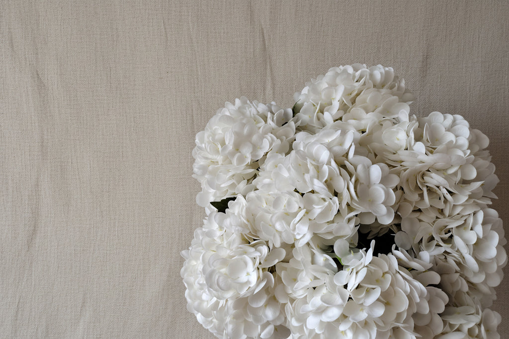 Signature of the Haus