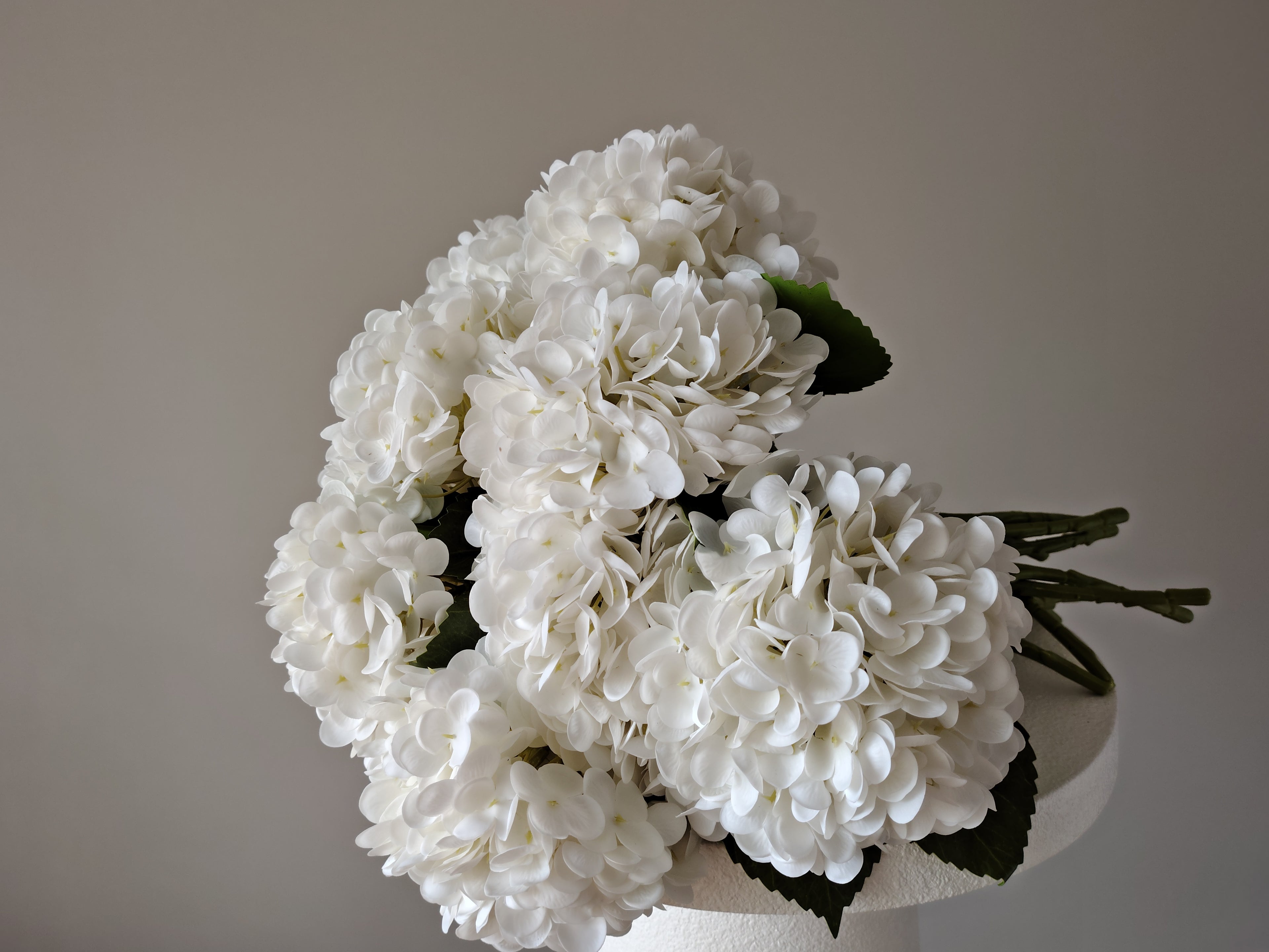 Signature of the Haus