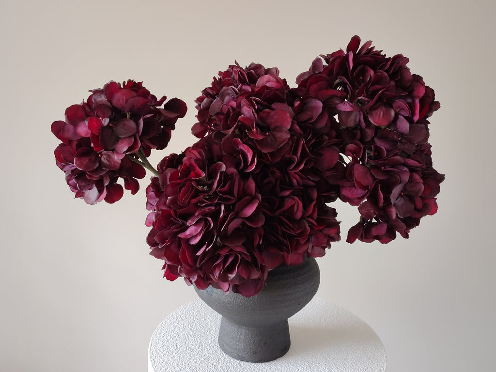 Noir Hydrangea