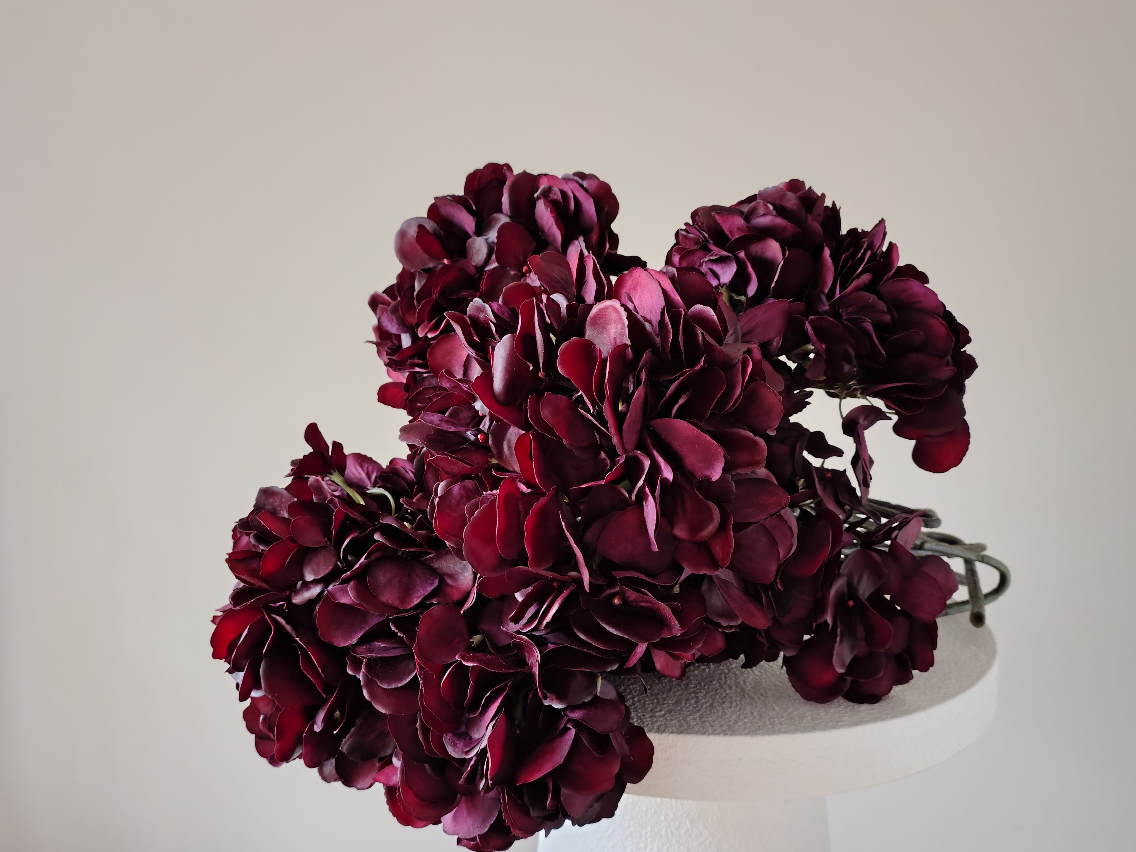 Noir Hydrangea