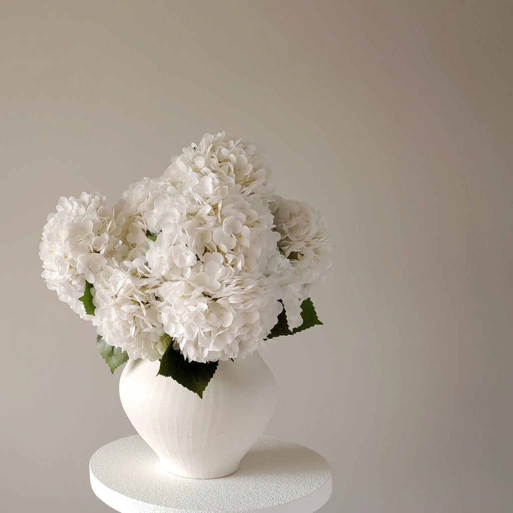 Signature of the Haus